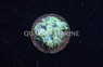 Flower Pot Short Polyp Green :: 41706