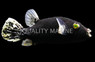 Midnight Dogface Pufferfish :: 26524
