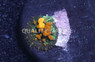 Mushroom Bounce Green w/Orange Tips :: 62777