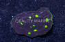Colored Chalice Coral :: 39974