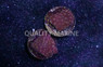 Cyphastrea, Maroon w/ Green polyps :: 67060