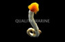 Orange Hardtube Coco Worm :: 53515