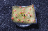 Cyphastrea Coral :: 12803