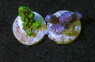 Acropora, Colored, Fiji :: 38114