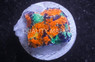 Echinata, Orange/Green Splatter :: 74645