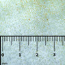 Gamma Small Copepod 0.5 - 0.8mm Slice :: 0729310