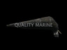 Black Cone Cerith Snail :: 57048