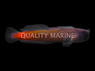Gulf Blenny, Colored Tail, QM Labs :: 20277