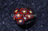 Zoa, Blondie :: 46627