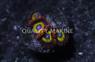 Zoa, Fruit Loop :: 93438