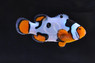 Picasso Percula Clownfish, Premium :: 14070