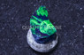 Spiny Cup, Green :: Eastern Asia :: 31094