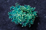Octopus Branch Green w/Gold Tip :: Eastern Asia :: 57615