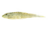 Cheni Hillstream Loach :: 74048