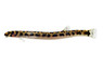Spotted Coolie Loach :: 24480