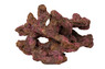 Ecoscape Reef Centerpiece 07 :: 0960605
