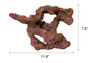 Ecoscape Reef Centerpiece 09 :: 0960607