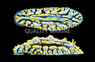 Yellow Tip, Blue :: 55018