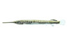 Buffon's River Garfish :: 91912