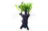 Bolbitis Root Tree :: 87884