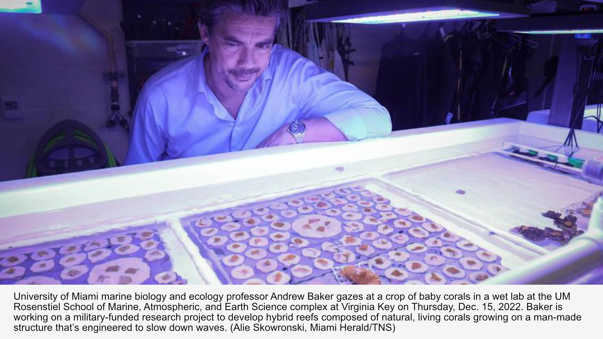 DOD agency teams with universities to develop hybrid super reefs to ...
