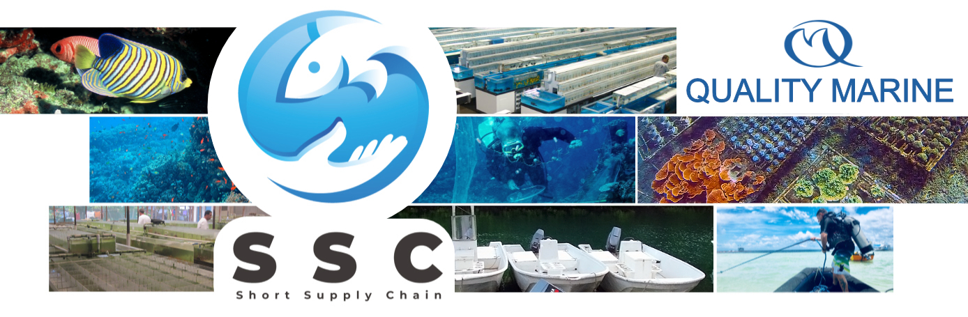 ssc-banner.png ssc-banner.png