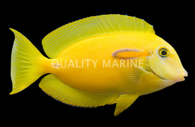 3315582__50129.1755759805.386.