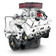 350CI GM Small Block Compatible Deluxe Dressed -Carb, Engine Complete Assembly, Gearstar Performance Transmissions