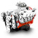 598CI GM Big Block Compatible Deluxe Dressed -Carb -Polished Kit
