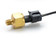 1/8" NPT 300PSI Pressure Solid State