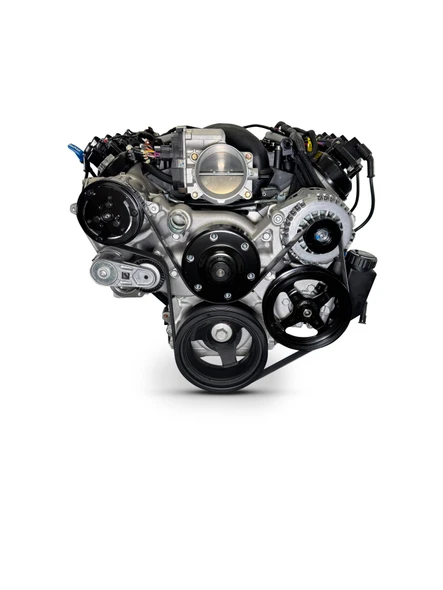 376CI GM LS Compatible Deluxe Dressed -EFI -Natural Kit