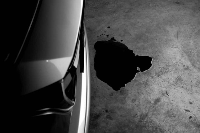 5 Causes of a Transmission Fluid Leak 5 Causes of a Transmission Fluid Leak