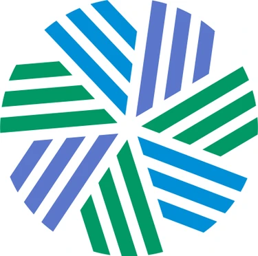 Paid Emergency Deferral CFA Program Level III