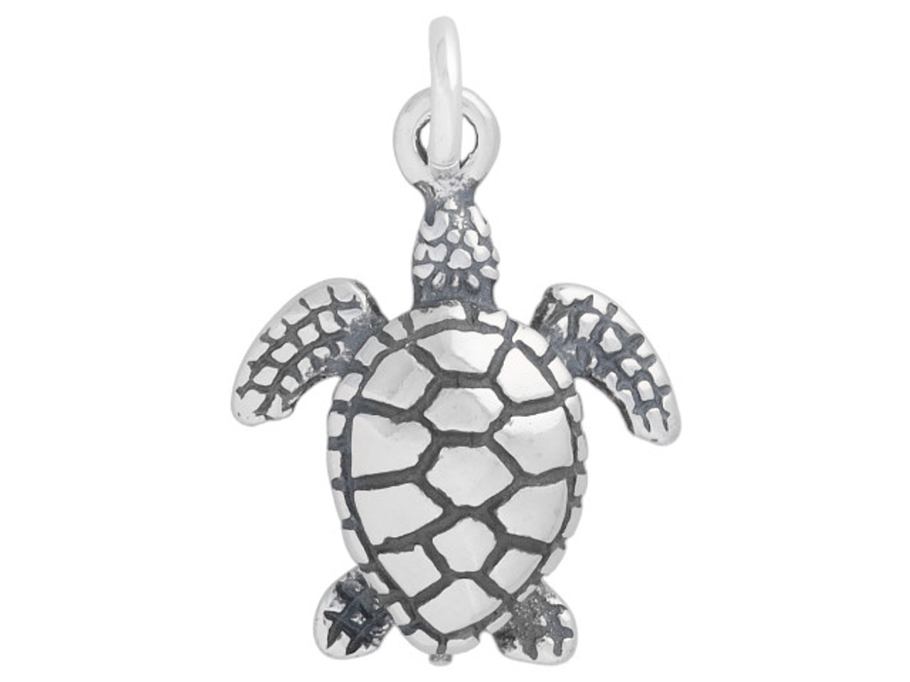 turtle silver charm