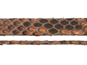 Regaliz 10mm Brown Genuine Python Flat Leather by the Inch Regaliz 10mm Brown Genuine Python Flat Leather by the Inch
