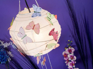 Emperor's Landing Emperor's Landing