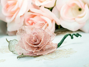 Everlasting Rose Everlasting Rose