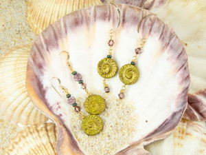 Fossil Hunt Fossil Hunt