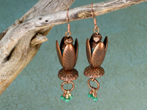 Maple Seeds Maple Seeds