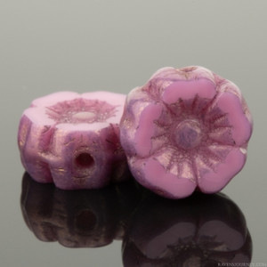 Czech Glass 7mm Pink Opaque Silk with Bronze Finish Hibiscus Flower Bead Strand by Raven's Journey Czech Glass 7mm Pink Opaque Silk with Bronze Finish Hibiscus Flower Bead Strand by Raven's Journey