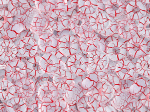 Matubo 2/0 Czech Glass Ionic White/Red Seed Beads 5.5-Inch Tube Matubo 2/0 Czech Glass Ionic White/Red Seed Beads 5.5-Inch Tube