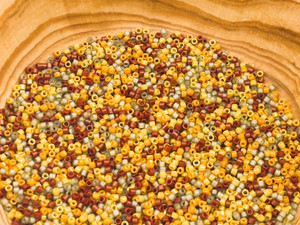 Autumn Breeze 11/0 TOHO Treasure Seed Bead Blend