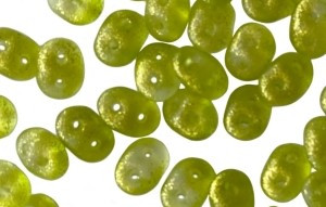 Matubo SuperDuo 2 x 5mm Frozen Matte Hot Mint 2-Hole Seed Bead 2.5-Inch Tube Matubo SuperDuo 2 x 5mm Frozen Matte Hot Mint 2-Hole Seed Bead 2.5-Inch Tube