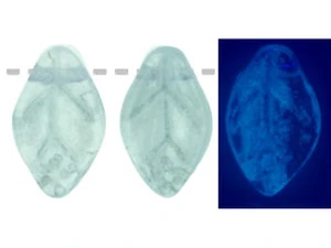 Czech Glow in the Dark Leaves 12 x 7mm : Luster Transparent Blue (strand) by Starman