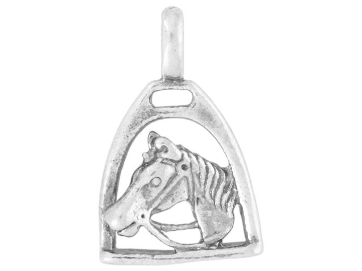 Horse Head in Stirrup