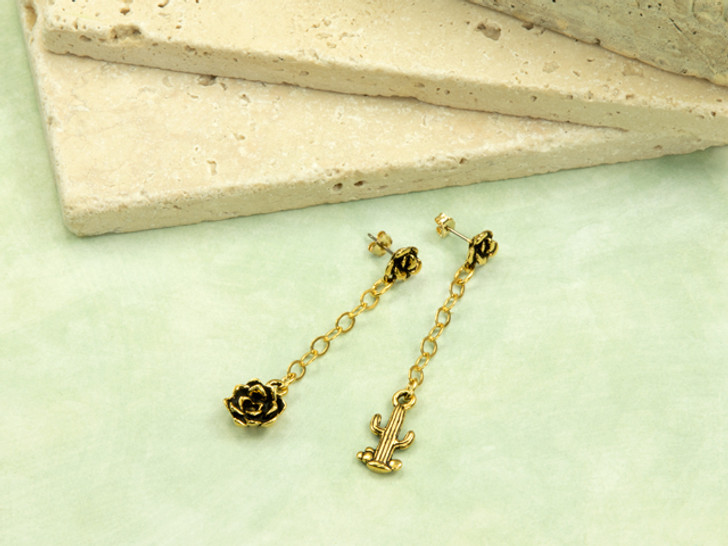 Desert Living Desert Living