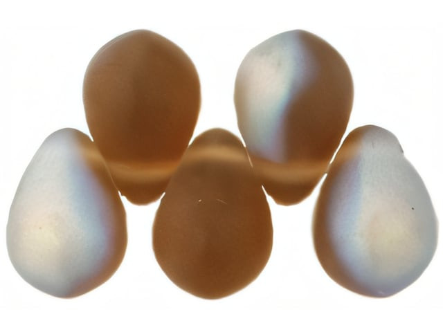 Czech Large Tear Drops 8 x 6mm : Matte - Smoky Topaz AB (50pcs)