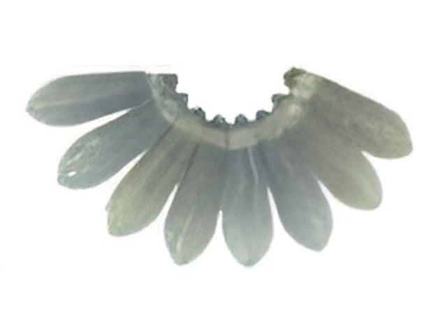 Czech Dagger 10 x 3mm : HurriCane Glass - Matte - Foggy Morning (strand) by Starman