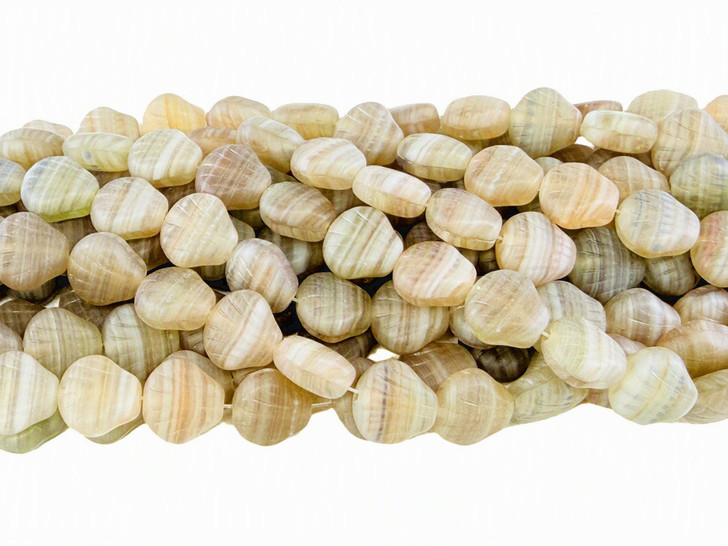 Hurricane Glass Seashell Beads, Riverstone Swirl, 8mm