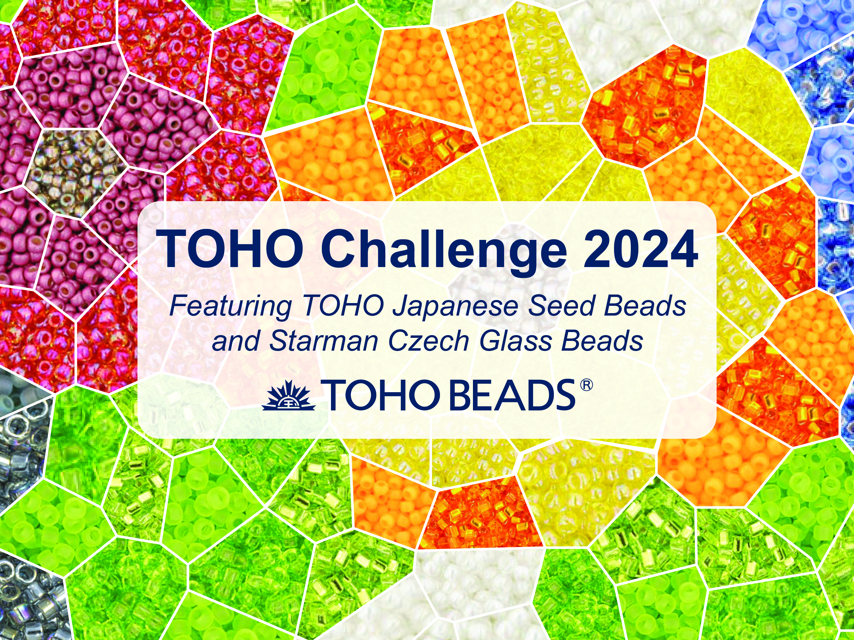 TOHO Challenge 2024